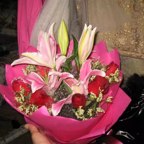 太阳未落9看电视