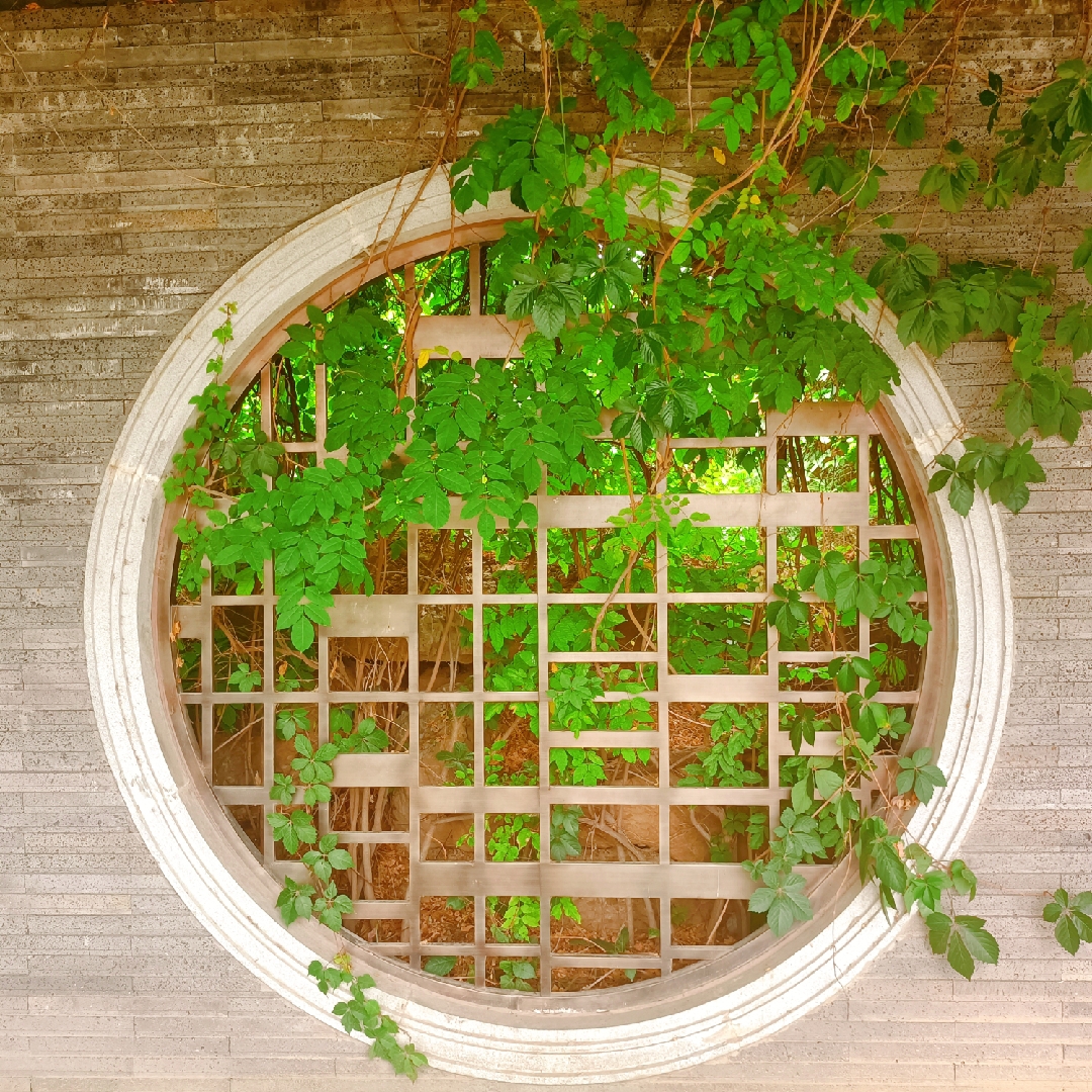 珂珂的末日废土杂货铺