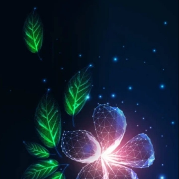 爱吃三丝拌蛏的百香果