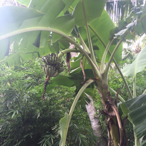 苏州车工匠汽车服务