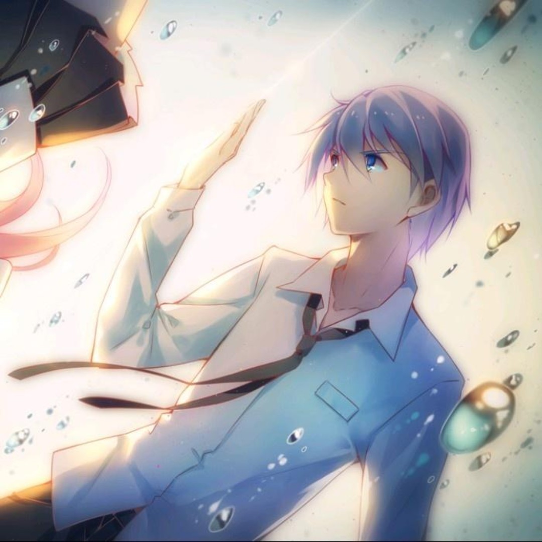 镜花水月丶樱吹雪