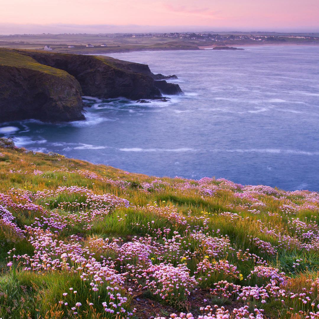 正派青年守望者11