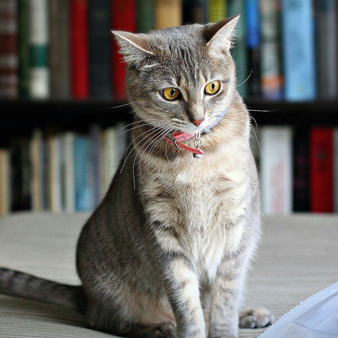 向未来的明天出发