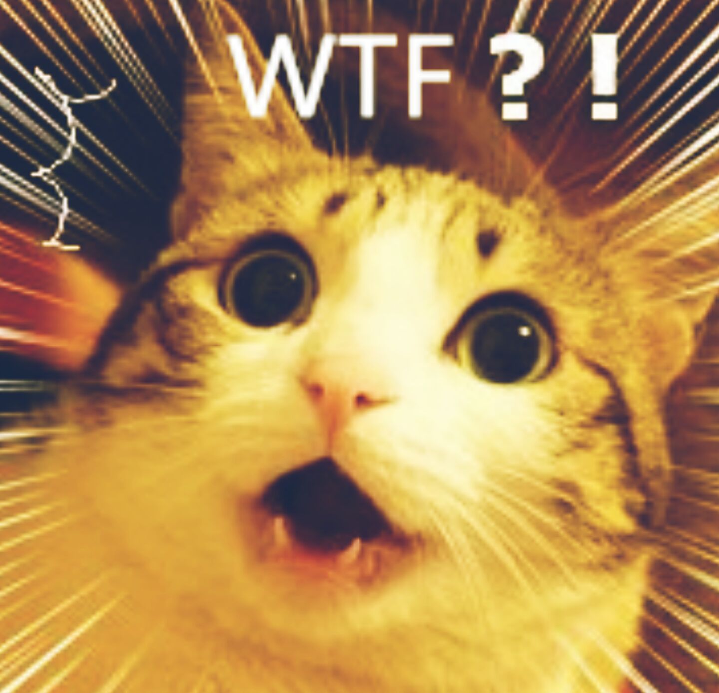 慈悲枪手克里斯