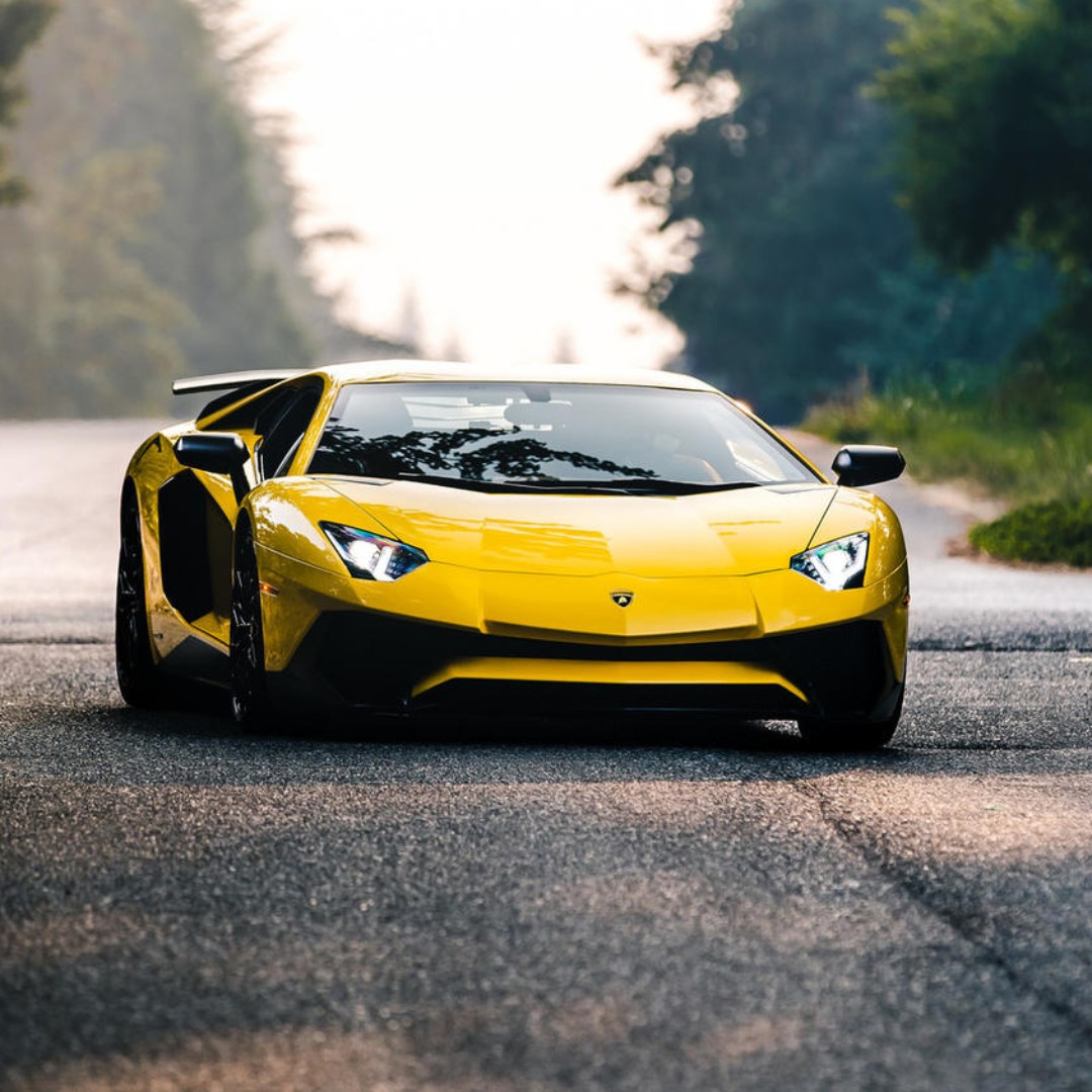 爱吃铁板烤鱼的小溪77