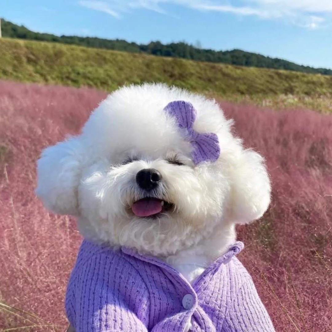 最可爱的宝宝1234567