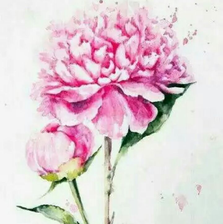 长得丑，想的美。