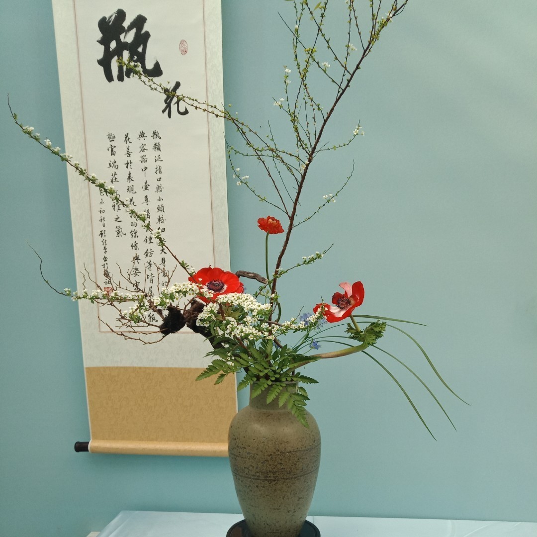 追风君子很开朗