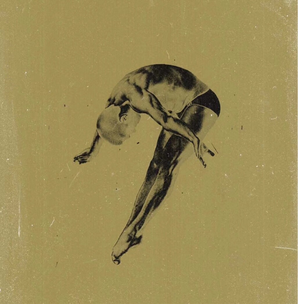 我和你一起爱左蓝