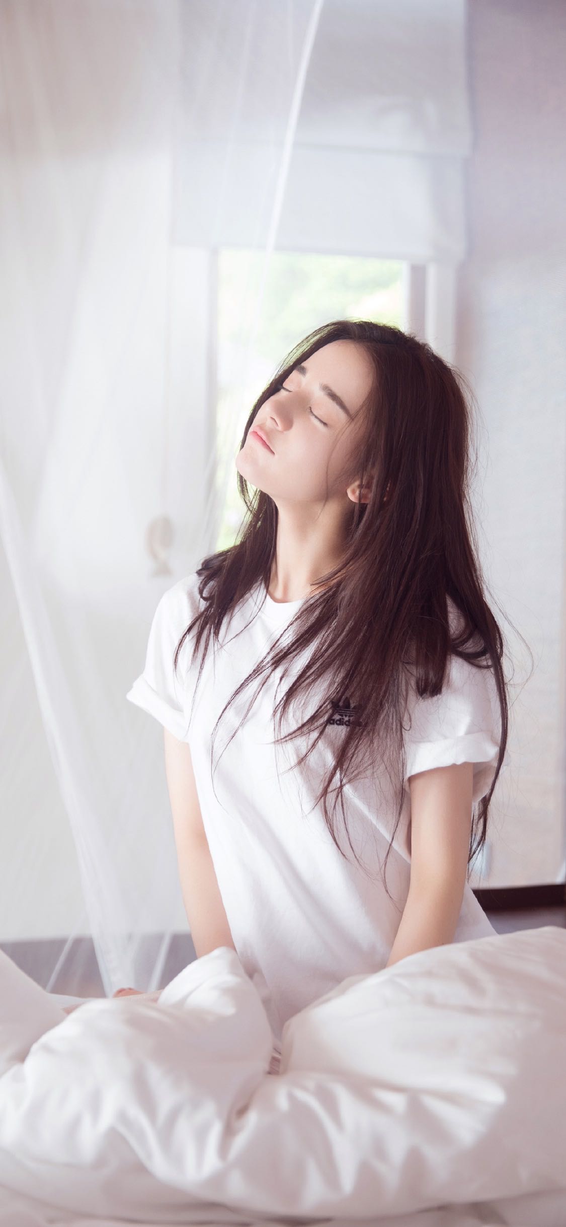 大西洋豪爽的菠萝