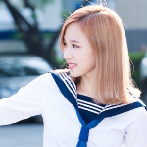 甜城缓慢的柿子