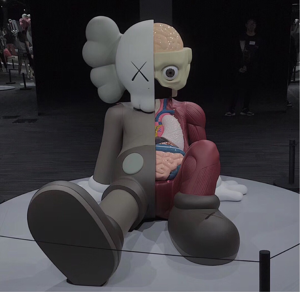 粉白色的乌姜仙女