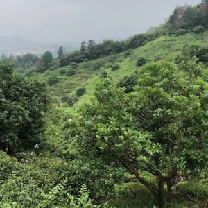 让心去旅行！.......