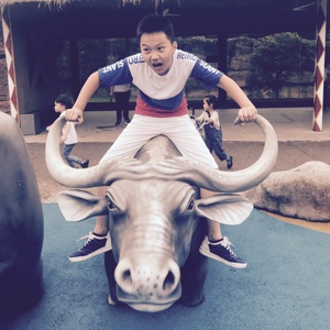 紫红色的红光栗