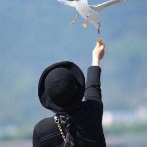 海宝宝勹