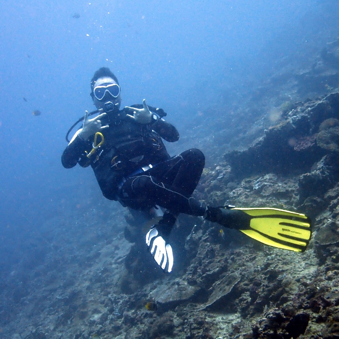 不睡觉的狮子座