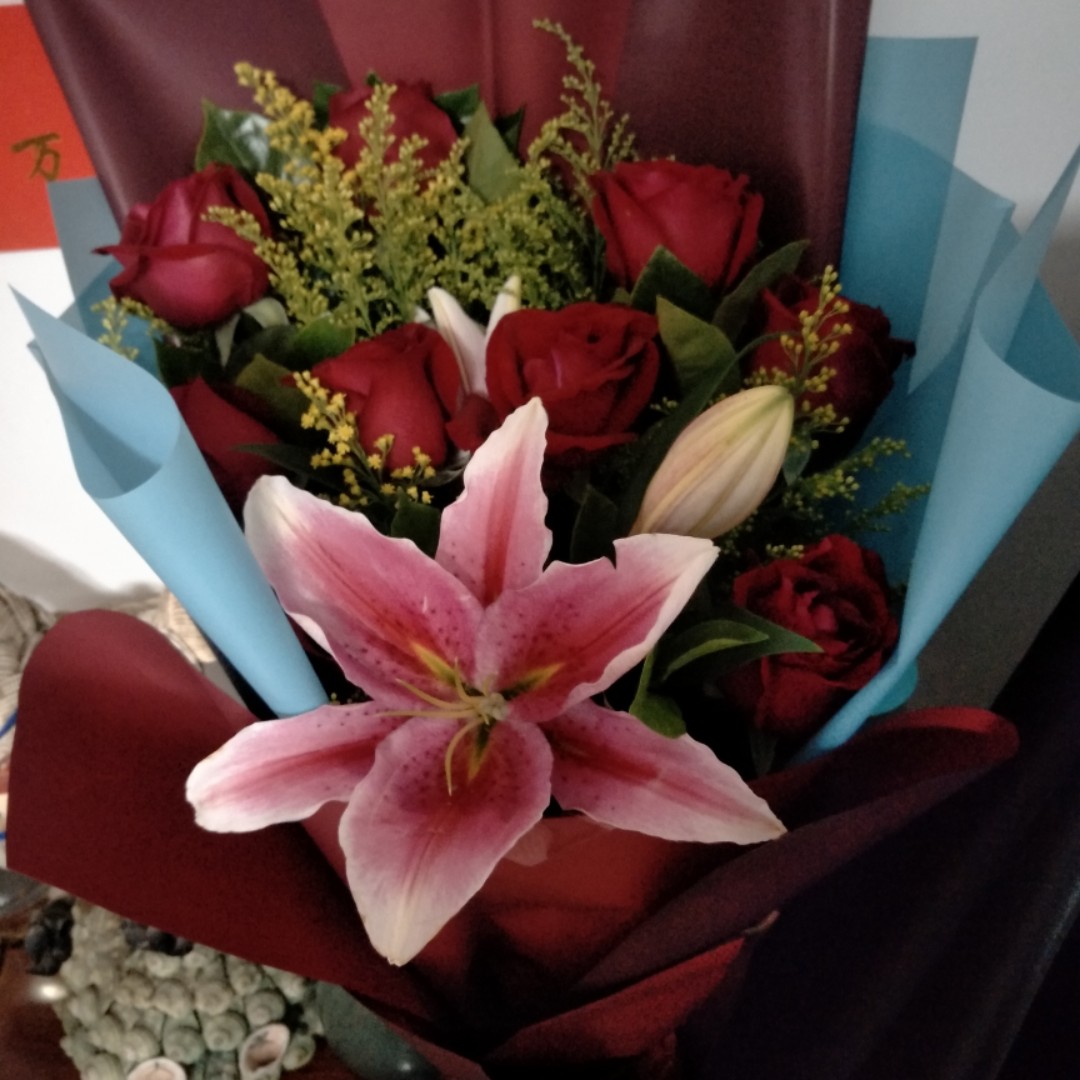 幸福的天使宝ly