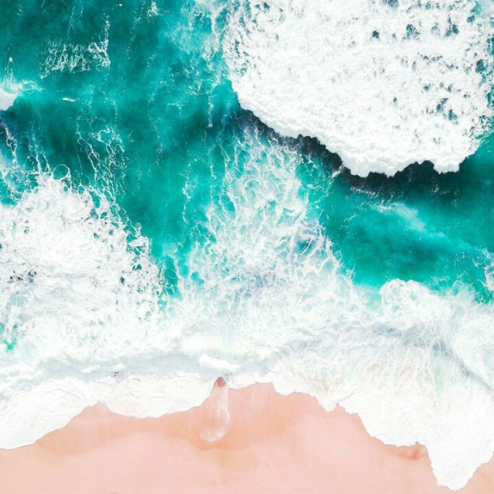 阿木木要吃橘子