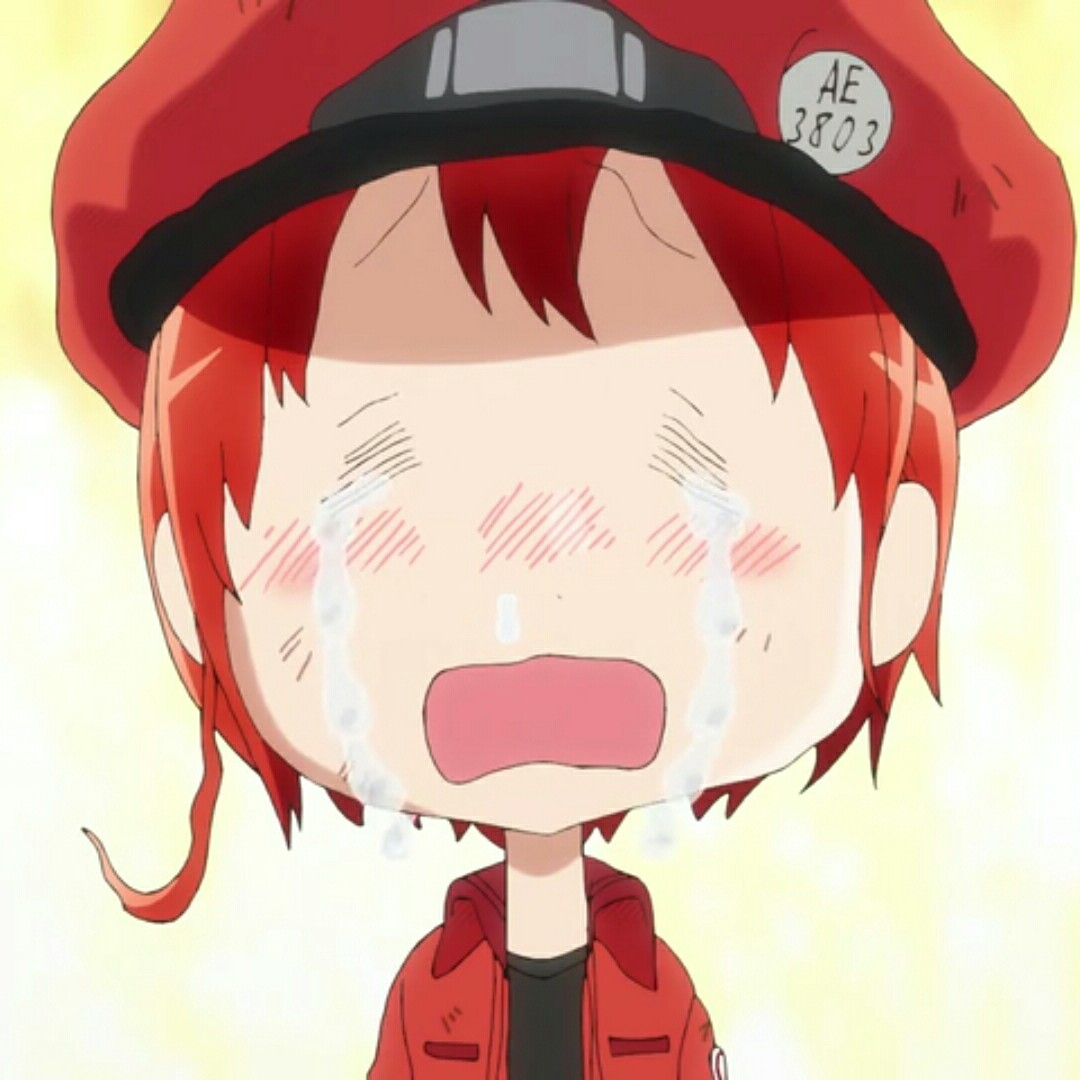 没有梦想的追梦者L