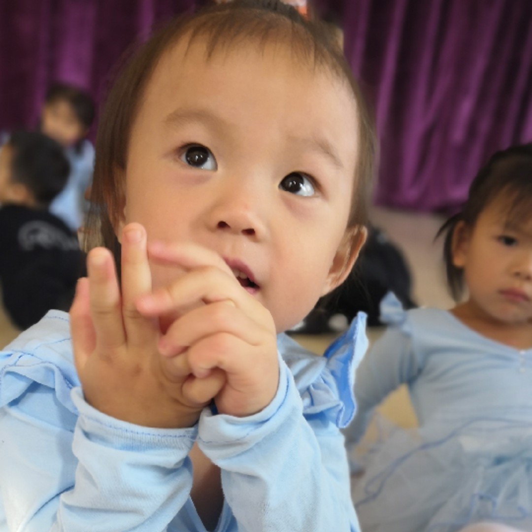 广西洋帆机电设备有限公司