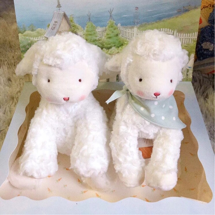 爱吃荔枝慕斯的烤鸭