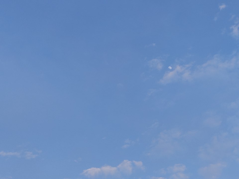 姑苏可靠的瓜子