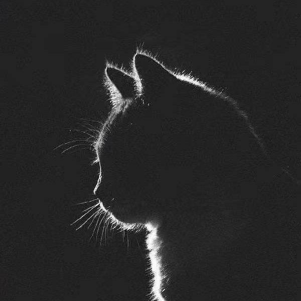 大头皮鞋两面穿