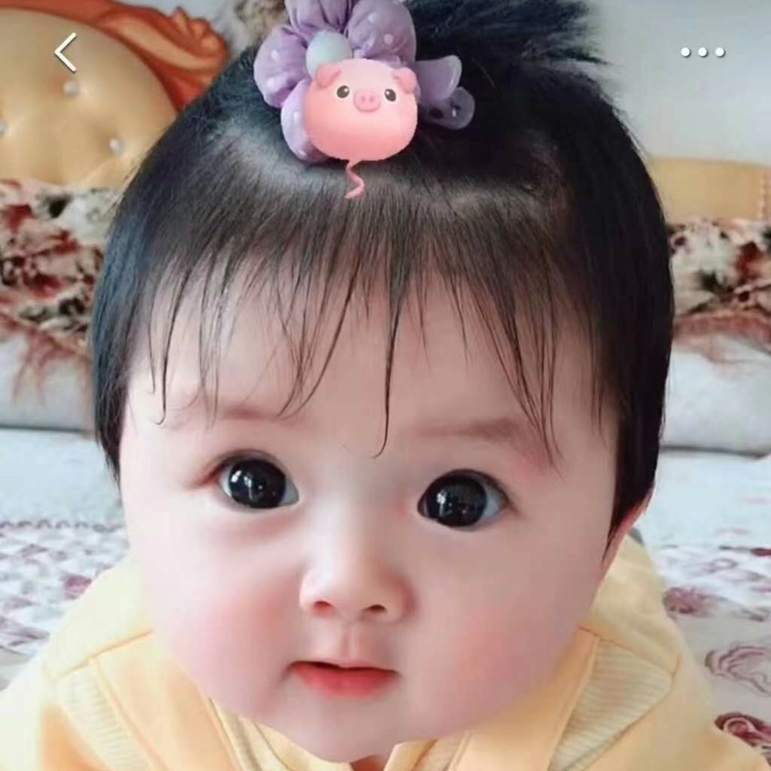 花杯里的松鼠仔