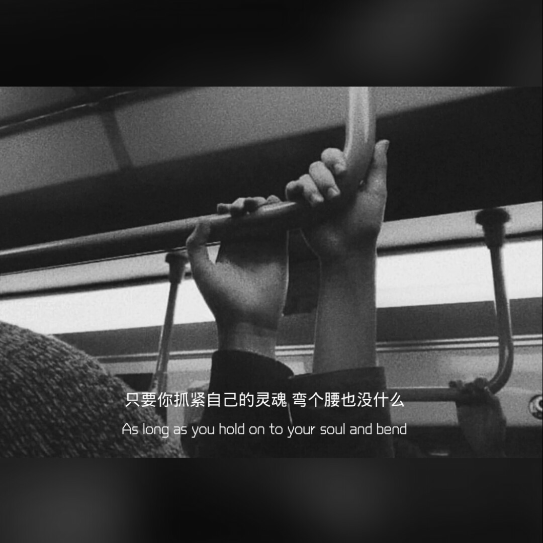 爱吃酱香猪骨的卡卡02