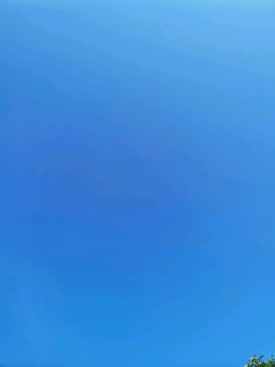 爱吃蟹肉咸饭的方块