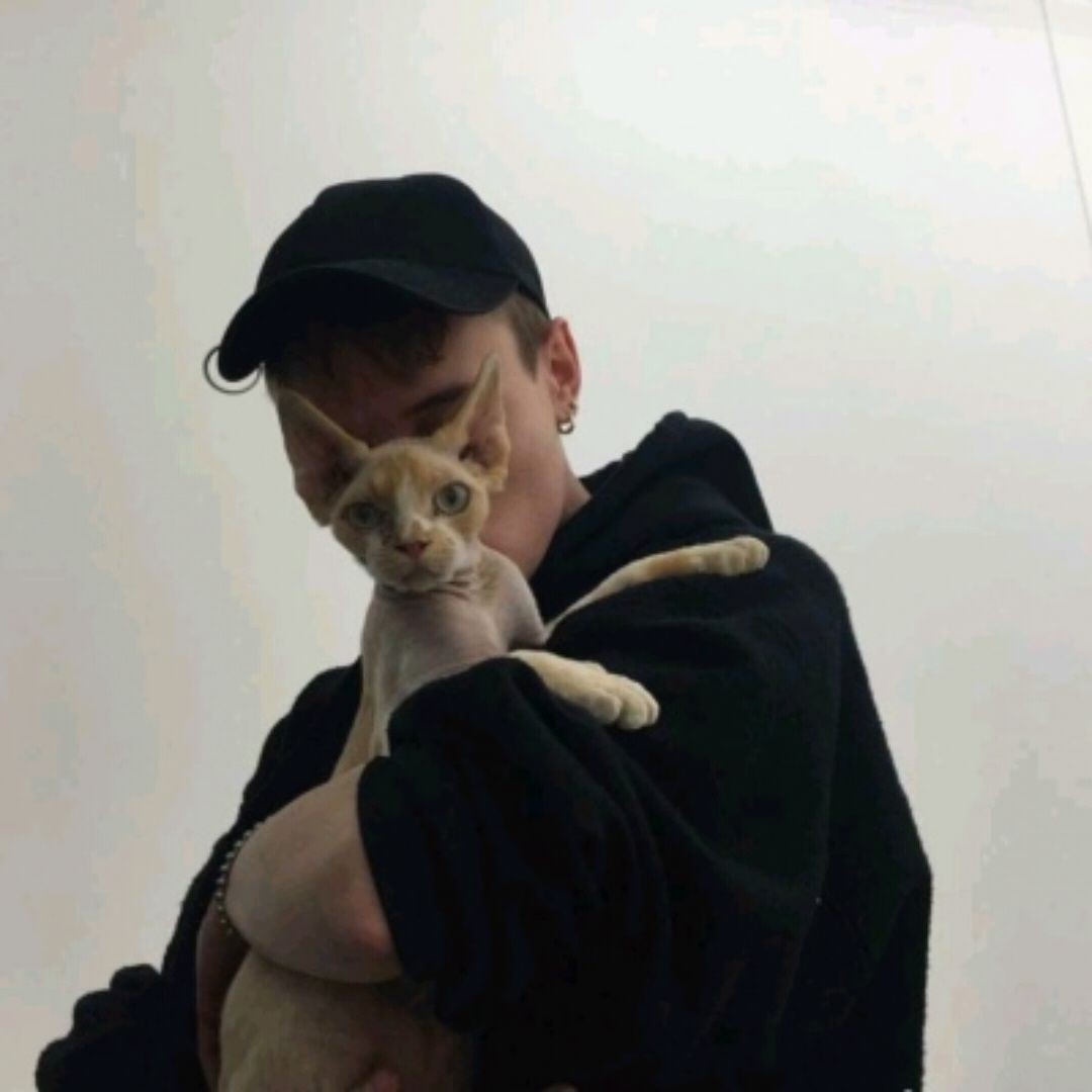 爱吃香辣熏兔的加菲猫