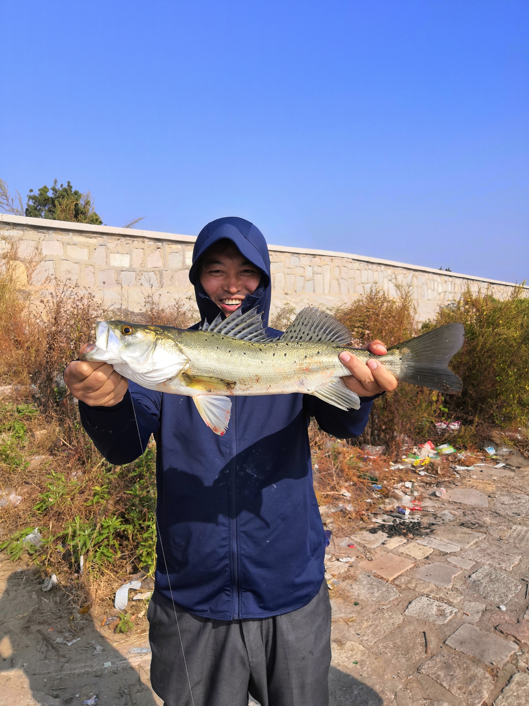 菩提树下一轮春