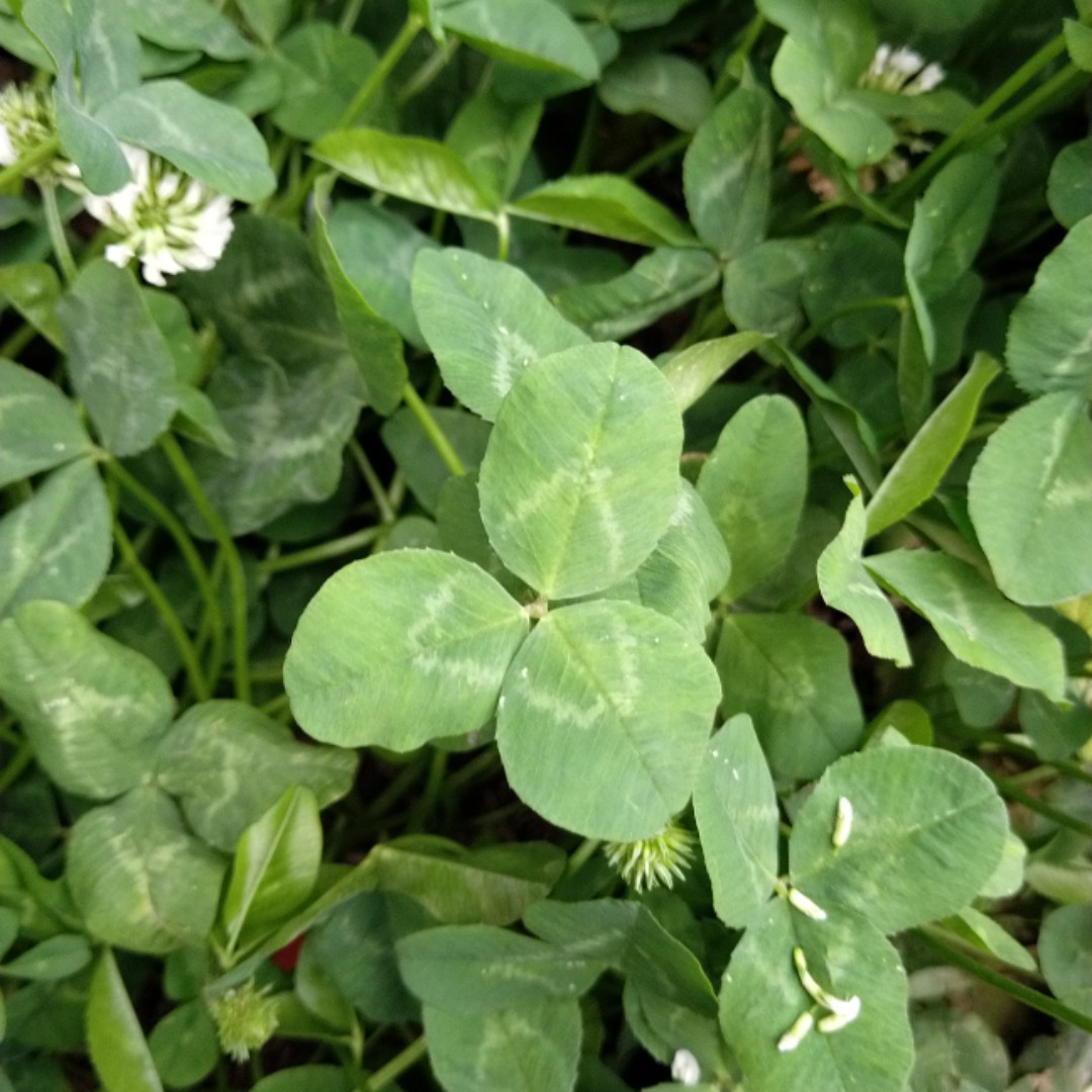 我有故事你有酒麽33