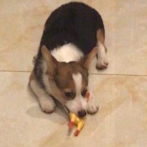 梦里别离小欢喜