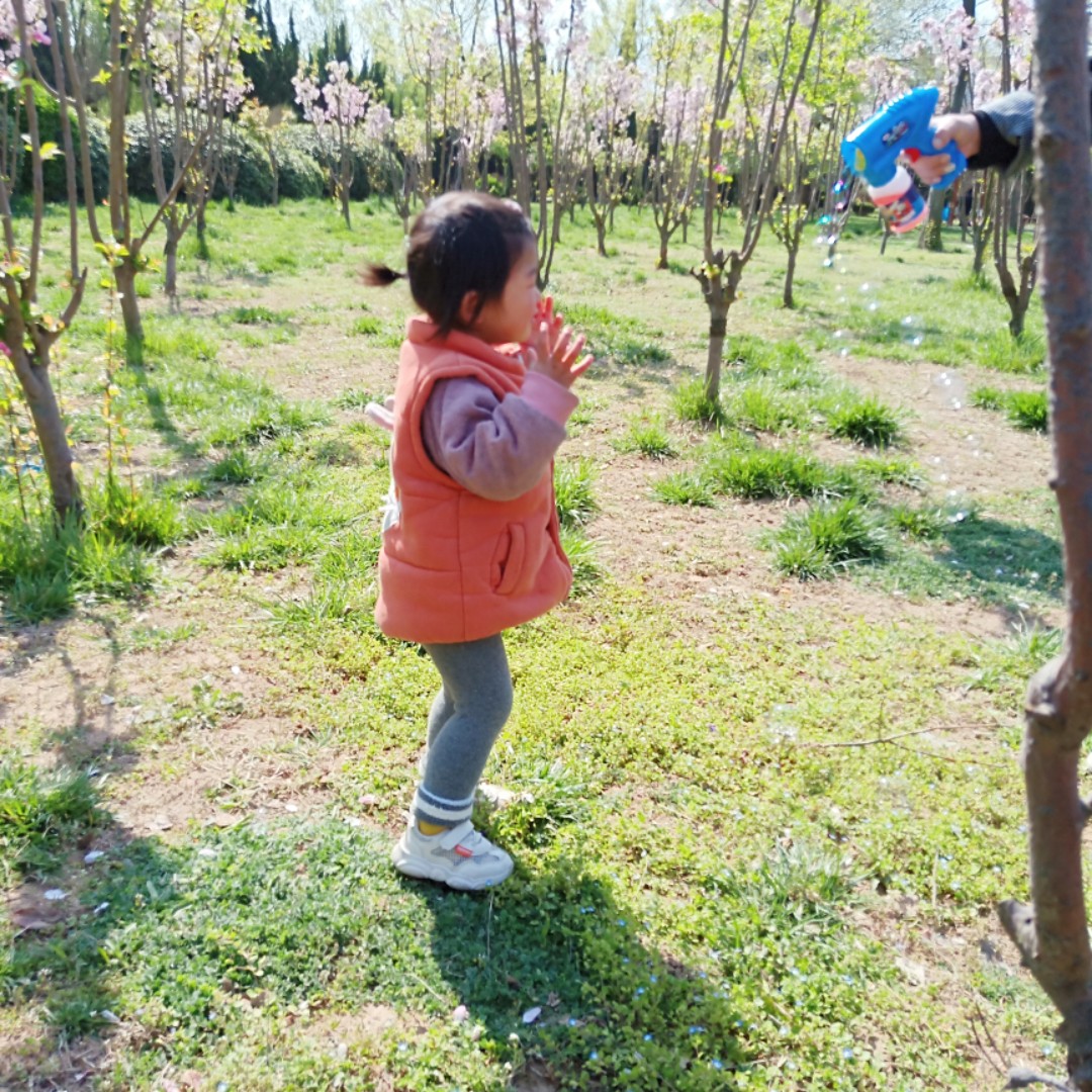 大脸猫爱吃鱼豆豆