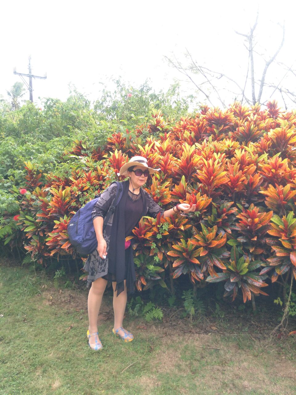 爱吃黑椒茄子的社长