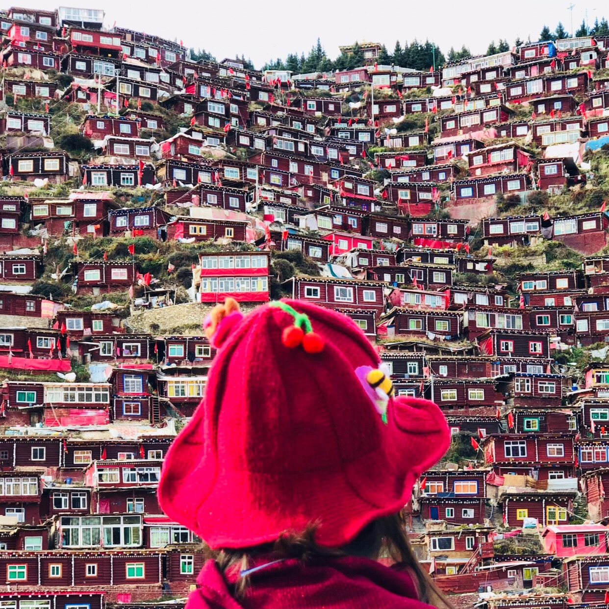 我有的是大时间