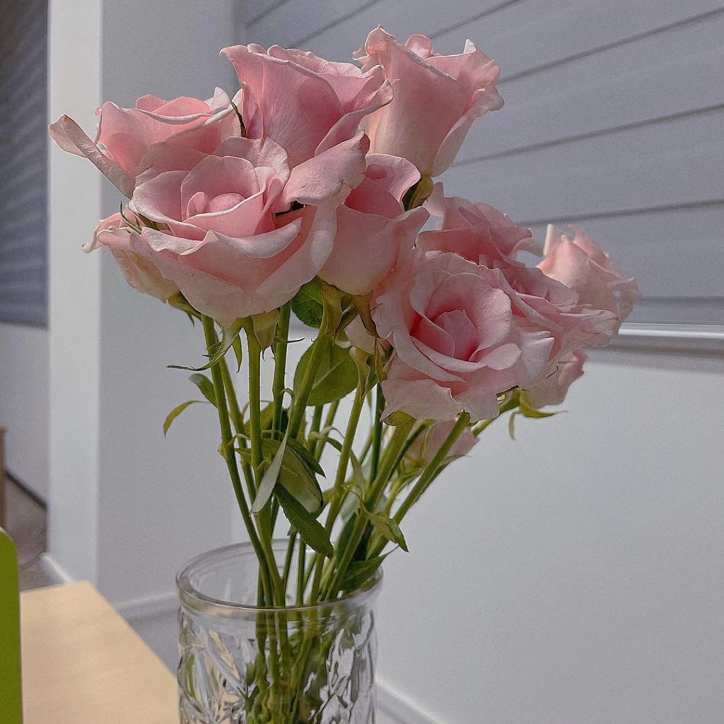 珍惜拥有的幸福