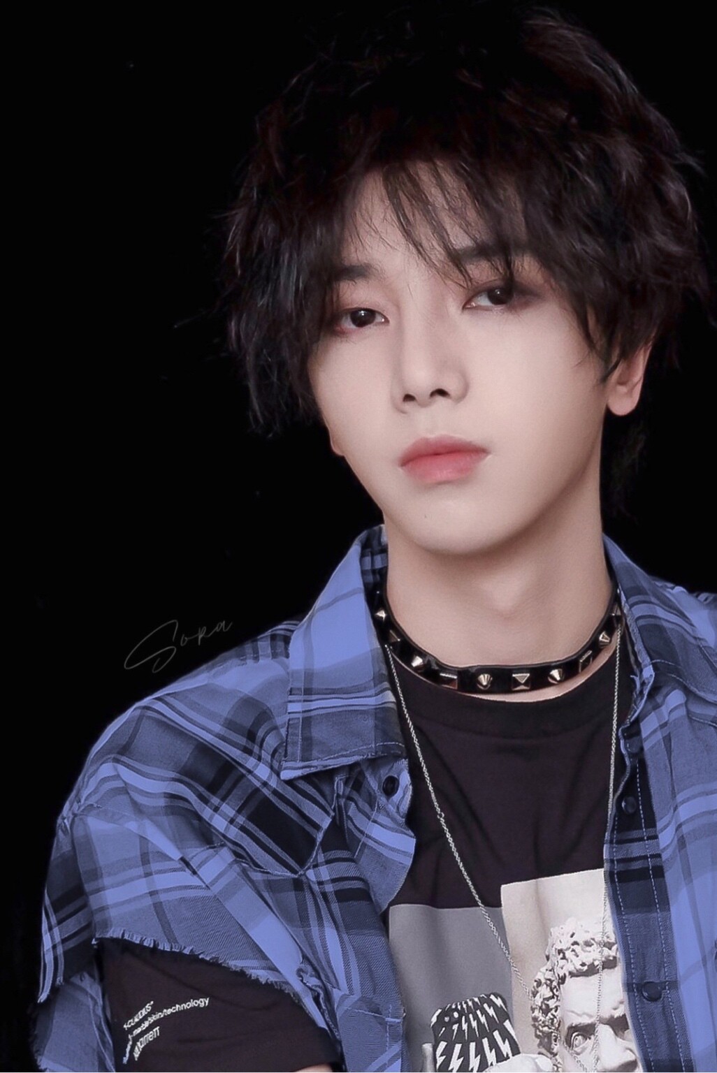 柯基柯基大柯基