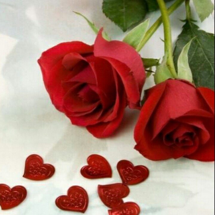 满不在乎遇见你