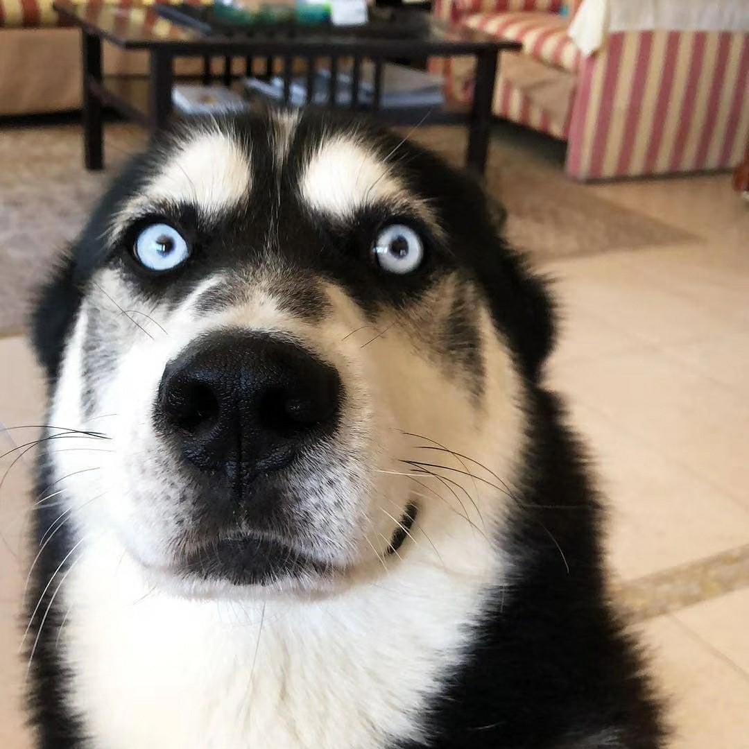 不要说自己累成狗