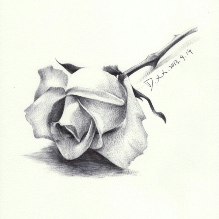 星辰大海抵不过一个你