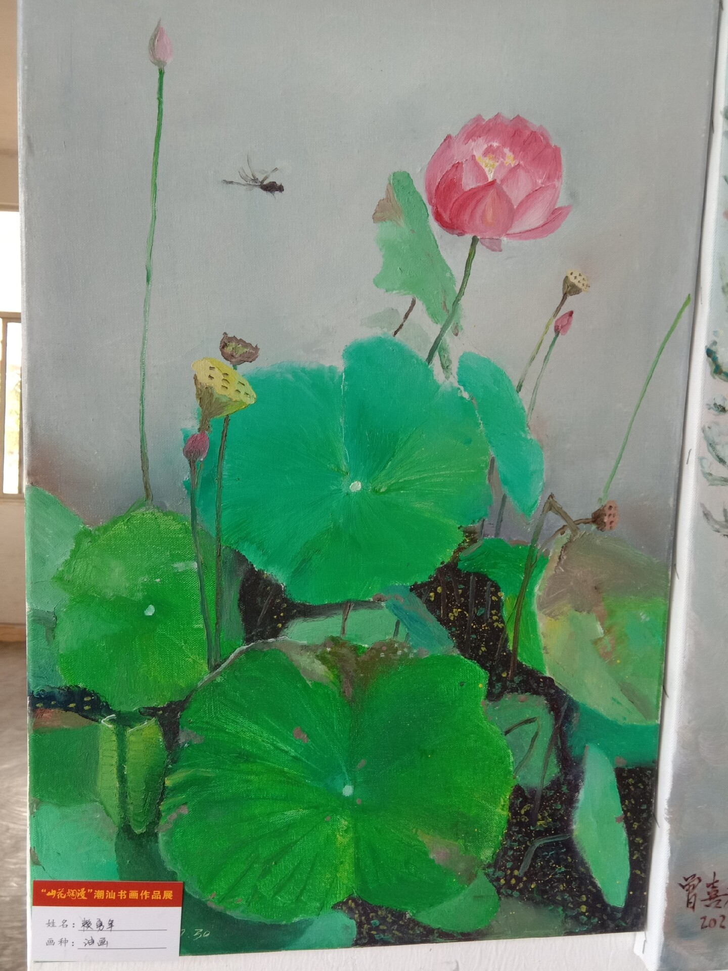 火红的乔依远方