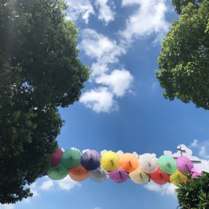 社会小可爱12138