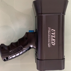 爱吃风味鸡柳的狂想曲