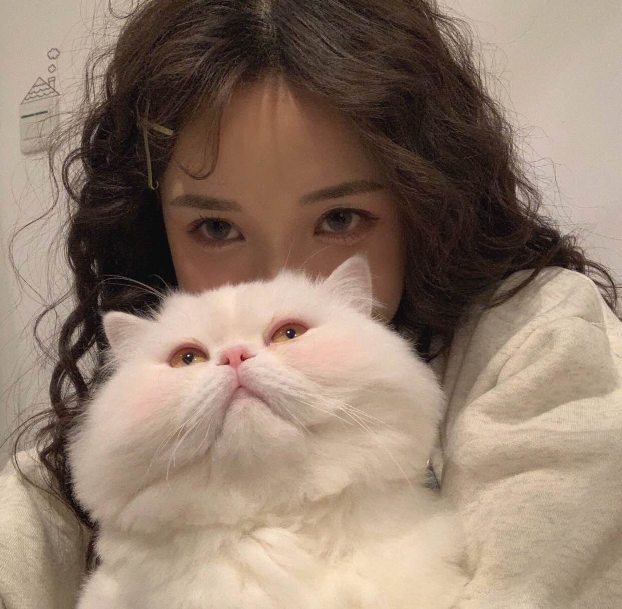 屿酱今天买买买了吗