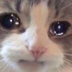 青吟巷扒蒜的鳗鱼