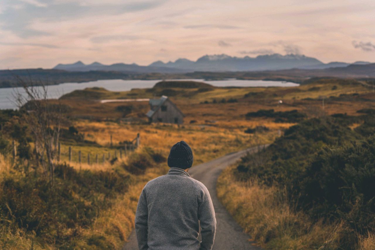  你的芒果甜吗！