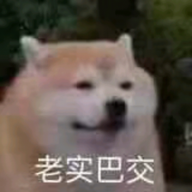 蒲甘和气的使者