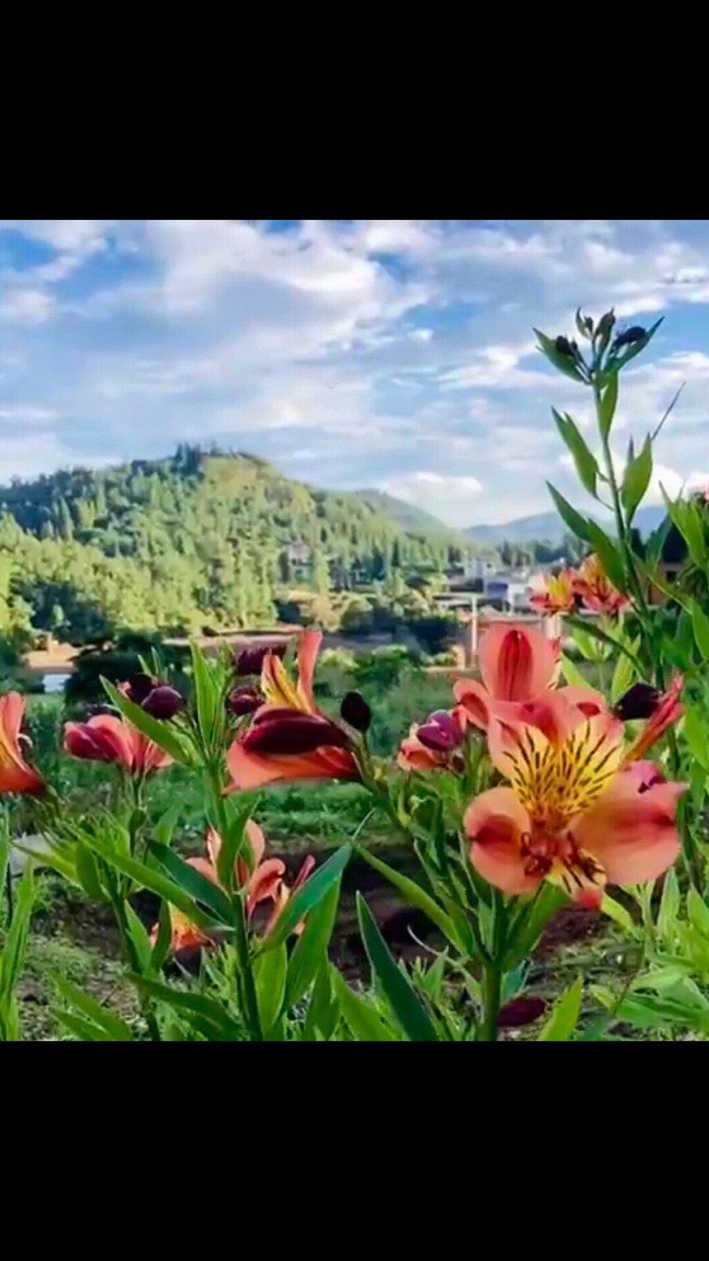 翡翠品茗湖溪泉